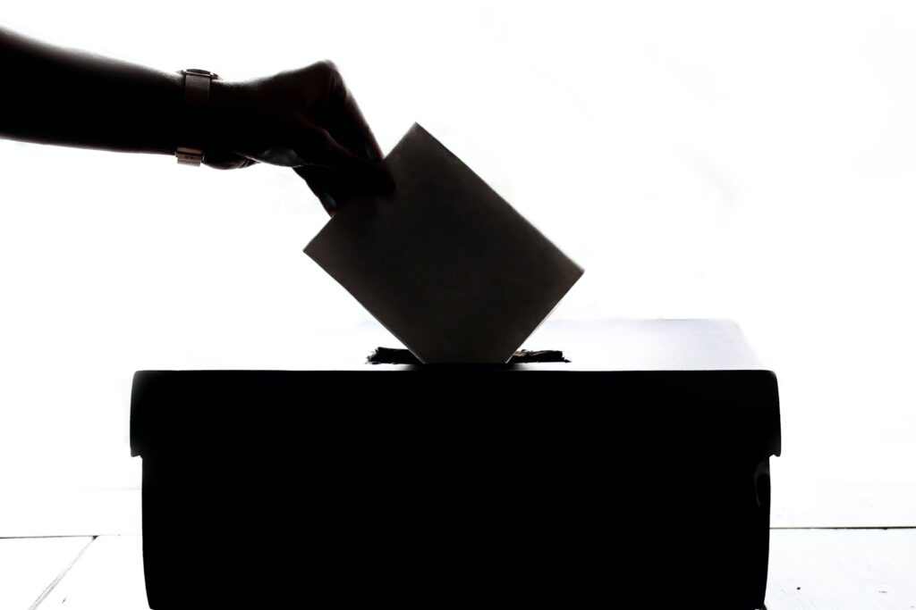 Demokratische Wahl, Symbolfoto (Element5 Digital, pexels.com)